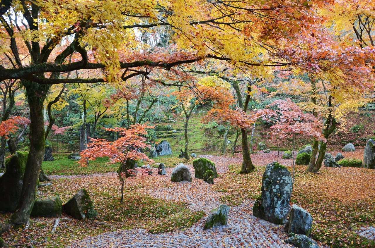 🌸 요센지 절(하기데라) 이미지 8